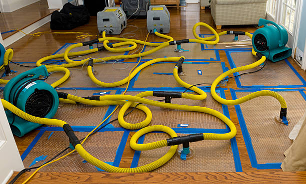 Professional Crawl Space Water Removal technician working in Russellville, AL