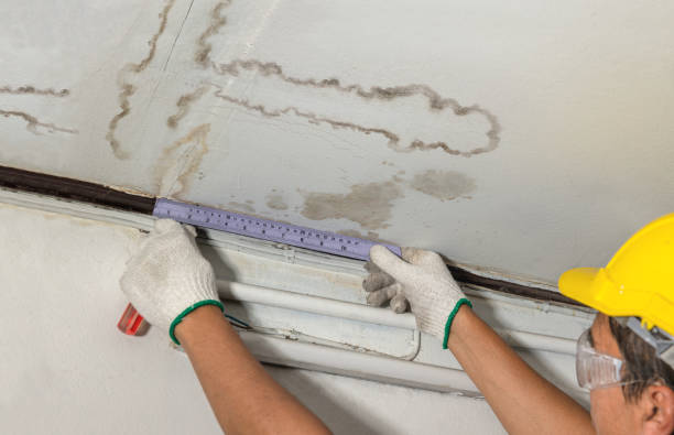 Affordable Water Damage Repair solutions in Russellville, AL